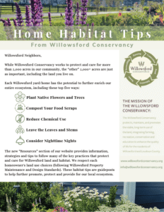 Home Habitat Tips From Willowsford Conservancy