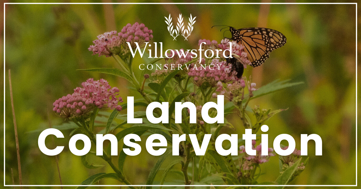 Donate to Support Land Conservation