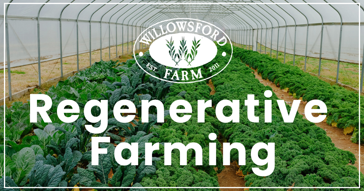 Donate to Support Regenerative Farming
