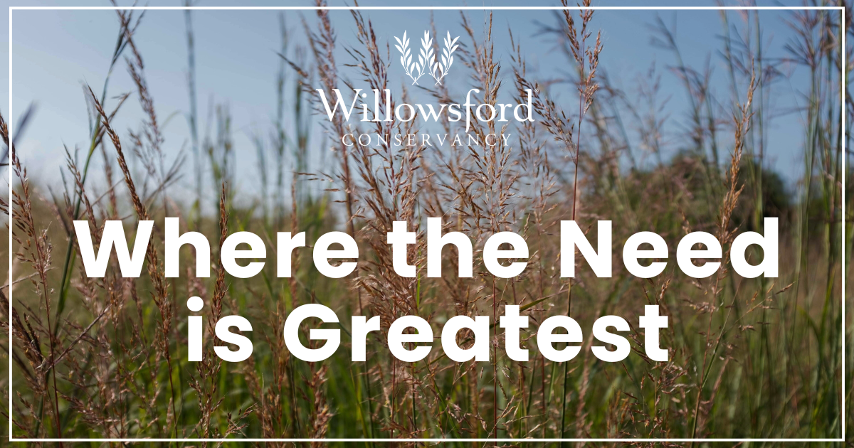 Donate Where the Need is Greatest